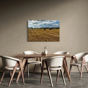 Obraz zozbieraného obilného poľa (90x60 cm)