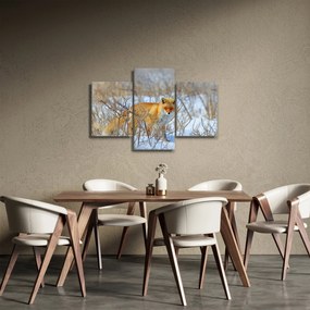Obraz - Lišiak (90x60 cm)