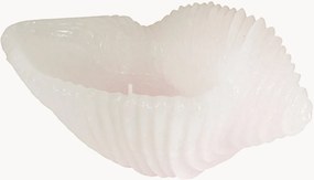 Ručne vyrobená sviečka v tvare mušle Cargol