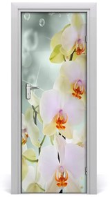 Fototapeta samolepiace orchidea 75x205 cm