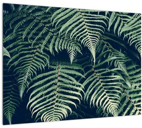 Sklenený obraz listov papradí (70x50 cm)