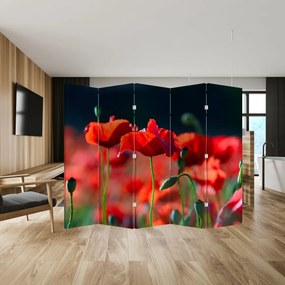 Paraván - Vlčie maky (210x170 cm)