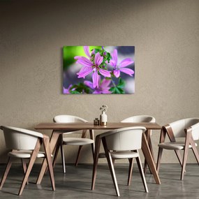 Detailný obraz kvetiny (90x60 cm)