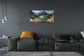 Obraz canvas jazierka salašnícky 120x60 cm