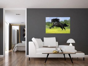 Obraz - Kôň s vzdušnou hrivou (90x60 cm)
