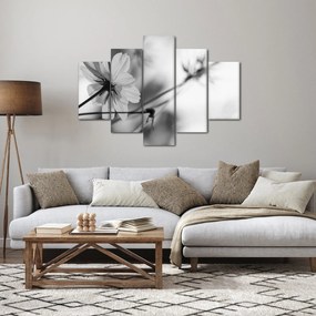 Obraz - Čiernobiele kvety (150x105 cm)