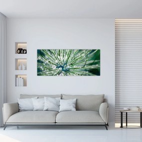 Obraz - Makro snímka kvetu (120x50 cm)
