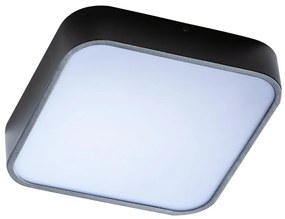 Azzardo AZ4147 - Kúpeľňové stropné svietidlo LUCIE 3xE27/20W/230V IP44