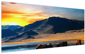 Obraz - Napájadlo (120x50 cm)