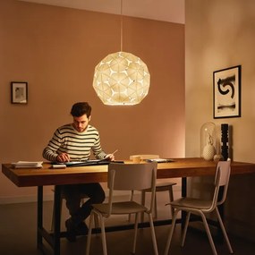 Philips 40914/21/PN - Luster na lanku MYLIVING CORKWOOD 1xE27/60W/230V