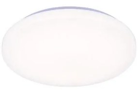 LED Stmievateľné stropné svietidlo s hlasovým ovládaním OPAL LED/48W/230V + DO