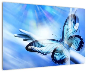 Obraz - Motýľ, symbol nádeje (90x60 cm)