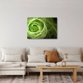 Sklenený obraz - Abstraktné ruže zelená (70x50 cm)