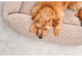 Béžový pelech pre psa z materiálu buklé 55x70 cm Senso Greige S – MiaCara