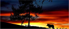 Obraz - Silueta vlka (120x50 cm)