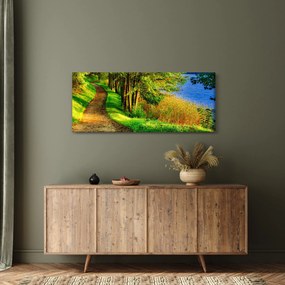 Obraz chodníky pozdĺž vody (120x50 cm)