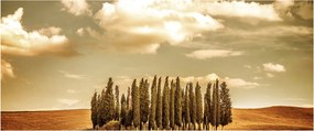 Obraz čistinky (120x50 cm)