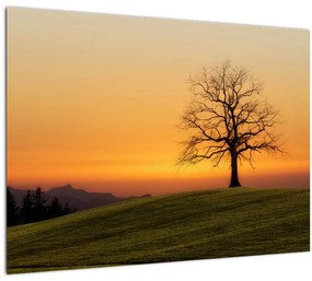 Sklenený obraz západu slnka na lúke (70x50 cm)