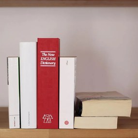 Rottner Úschovná kazeta BOOKCASE, červená