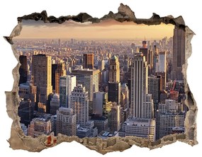 Fototapeta díra na zeď 3D New york letu vták nd-k-126216157