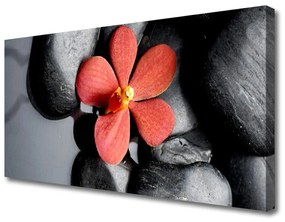 Obraz na plátne Kvet kamene umenie 120x60 cm