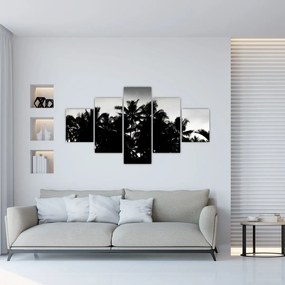 Obraz čiernobiely - palmy (125x70 cm), 40 ďalších rozmerov