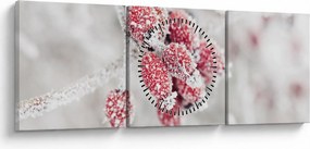 Obraz - Zamrznuté plody (s hodinami) (90x30 cm)