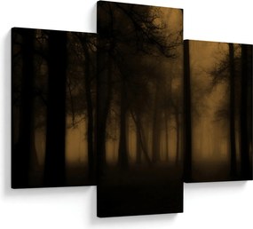 Obraz - Temný les (90x60 cm)