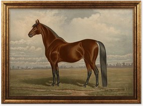 Nástenná dekorácia v ráme Equine
