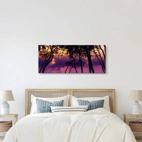 Obraz - Stromy pri západe slnka (120x50 cm)