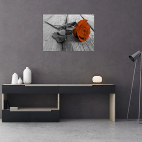 Obraz - Oranžová ruža (70x50 cm)