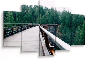 Obraz - Most k vrcholkom stromov (150x105 cm)