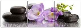 Obraz na plátne - Lávové kamene a fialové kvety - panoráma 563B (90x30 cm)