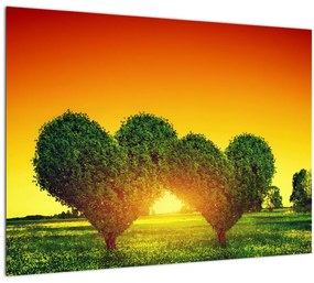 Obraz - Srdce v korunách stromov (70x50 cm)