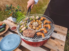 LotusGrill XL s taškou + 1 sada batérií + 1kg uhlia + 1 gél
