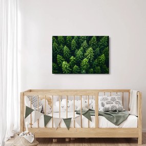 Obraz - Les (90x60 cm)