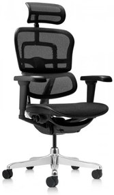 ANTARES Manažérska kancelárska stolička ERGOHUMAN 2 ULTRA čierna celosieť