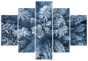 Obraz - Zasnežený les (150x105 cm)
