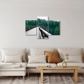 Obraz - Most k vrcholkom stromov (90x60 cm)