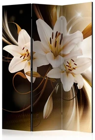 Artgeist Paraván - Circle of Light [Room Dividers]