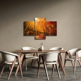 Obraz jesenného lesa (90x60 cm)