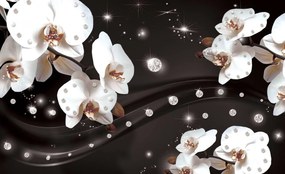 Fototapeta - Orchidea (152,5x104 cm)