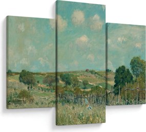 Obraz - Alfred Sisley,  Meadow, reprodukcia (90x60 cm)