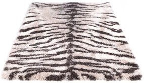 Koberec Dream tiger