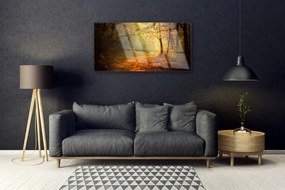 Skleneny obraz Les cestička stromy príroda 120x60 cm