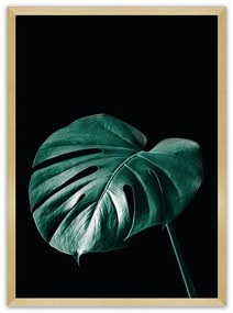 Plagát Dark Monstera