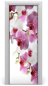 Fototapeta na dvere orchidea 75x205 cm