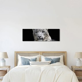 Obraz - Leopard snežný (s hodinami) (90x30 cm)