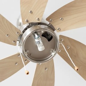 ZEVENTI - Stropný ventilátor FAMARA 1xE14/60W/230V béžová