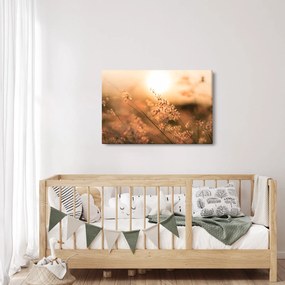 Obraz - Tráva na slnku (90x60 cm)